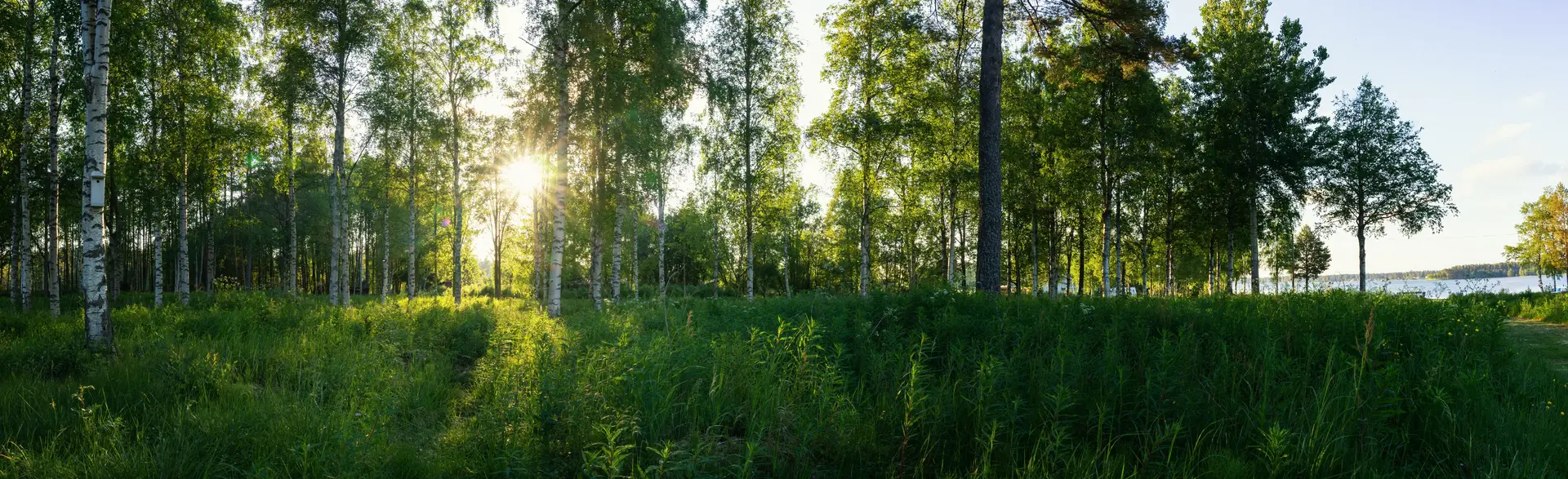 Ventilation i Sverige — FTXventilationsaggregat.se
